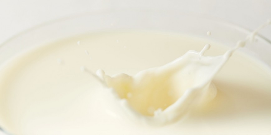 Почему так важно молозиво